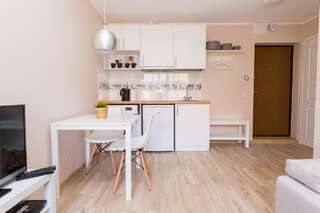 Апартаменты Vilnius Old Town Apartment Вильнюс Апартаменты с балконом-14
